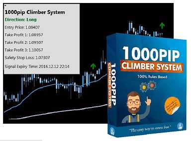 What is the 1000Pip Climber System About?
