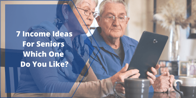 Income Ideas For Seniors